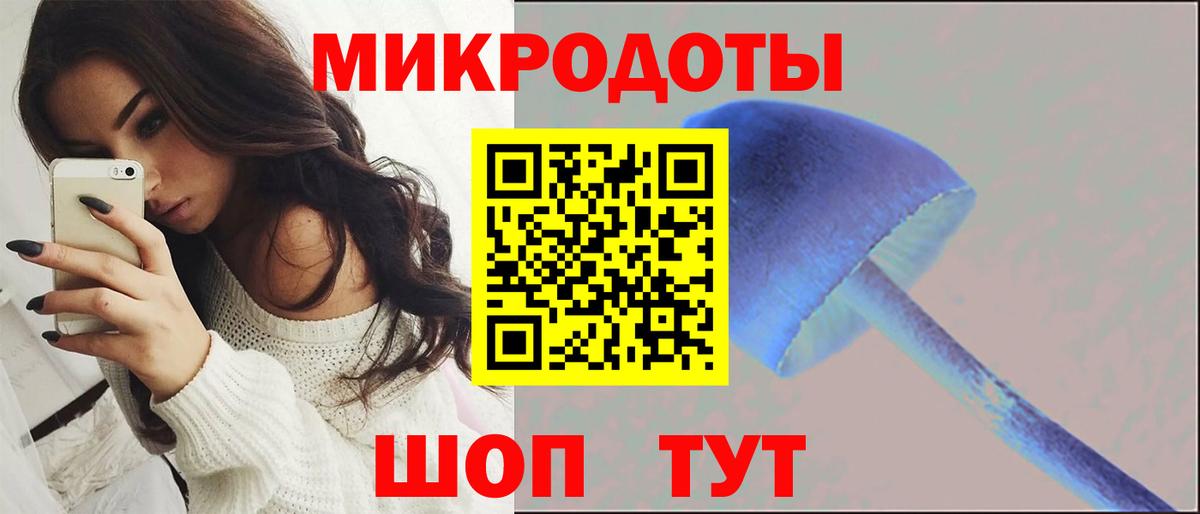 Великий Устюг  купить   Вход с VPN  Галлюциногенные грибы Psilocybine cubensis 